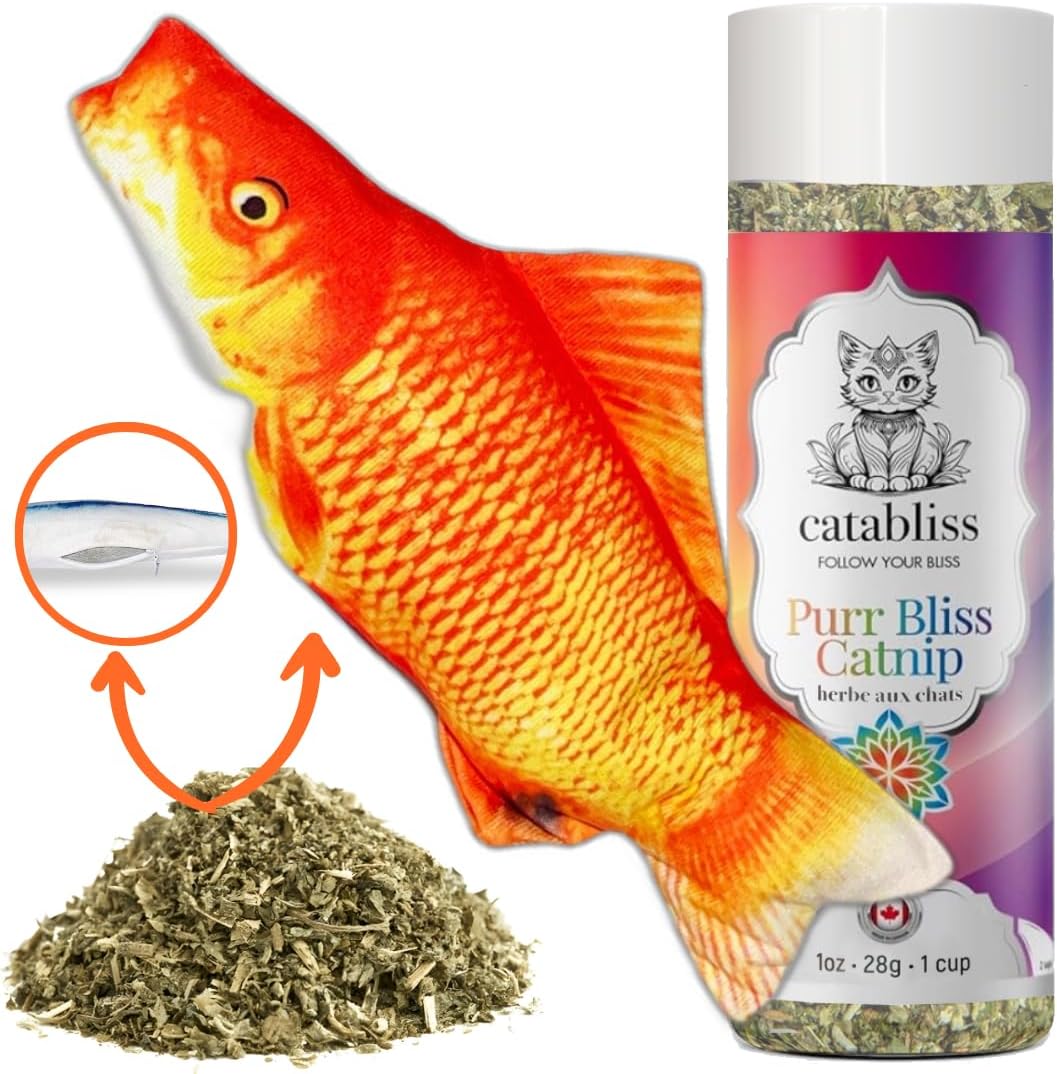 Catnip 1oz - Orange Fish Toy