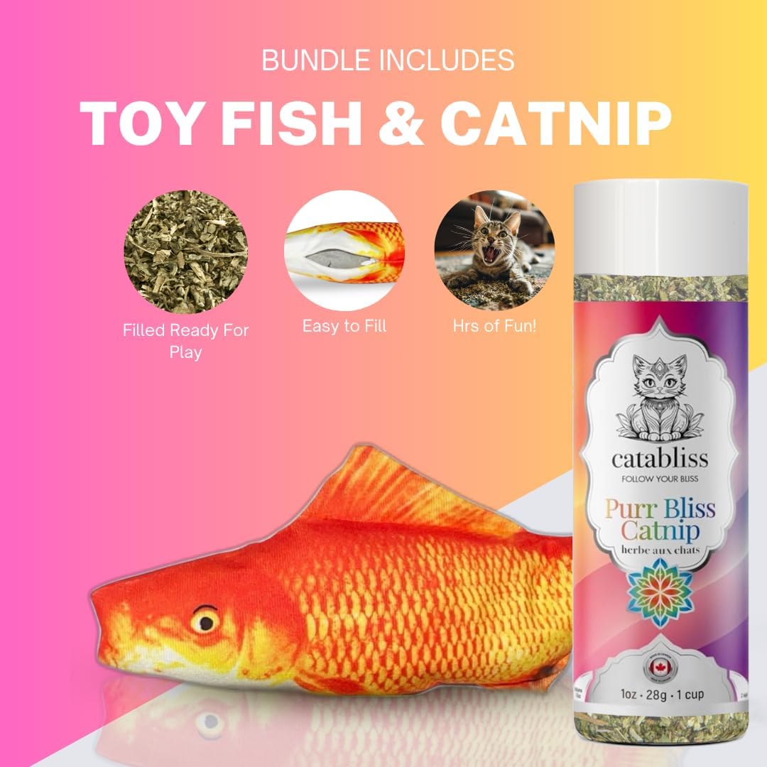 Catnip 1oz - Orange Fish Toy