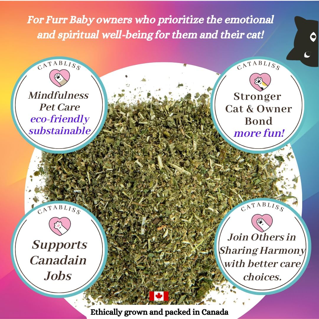 Catnip for Cats 2oz