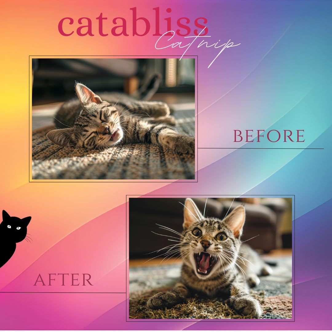 Catnip for Cats 2oz