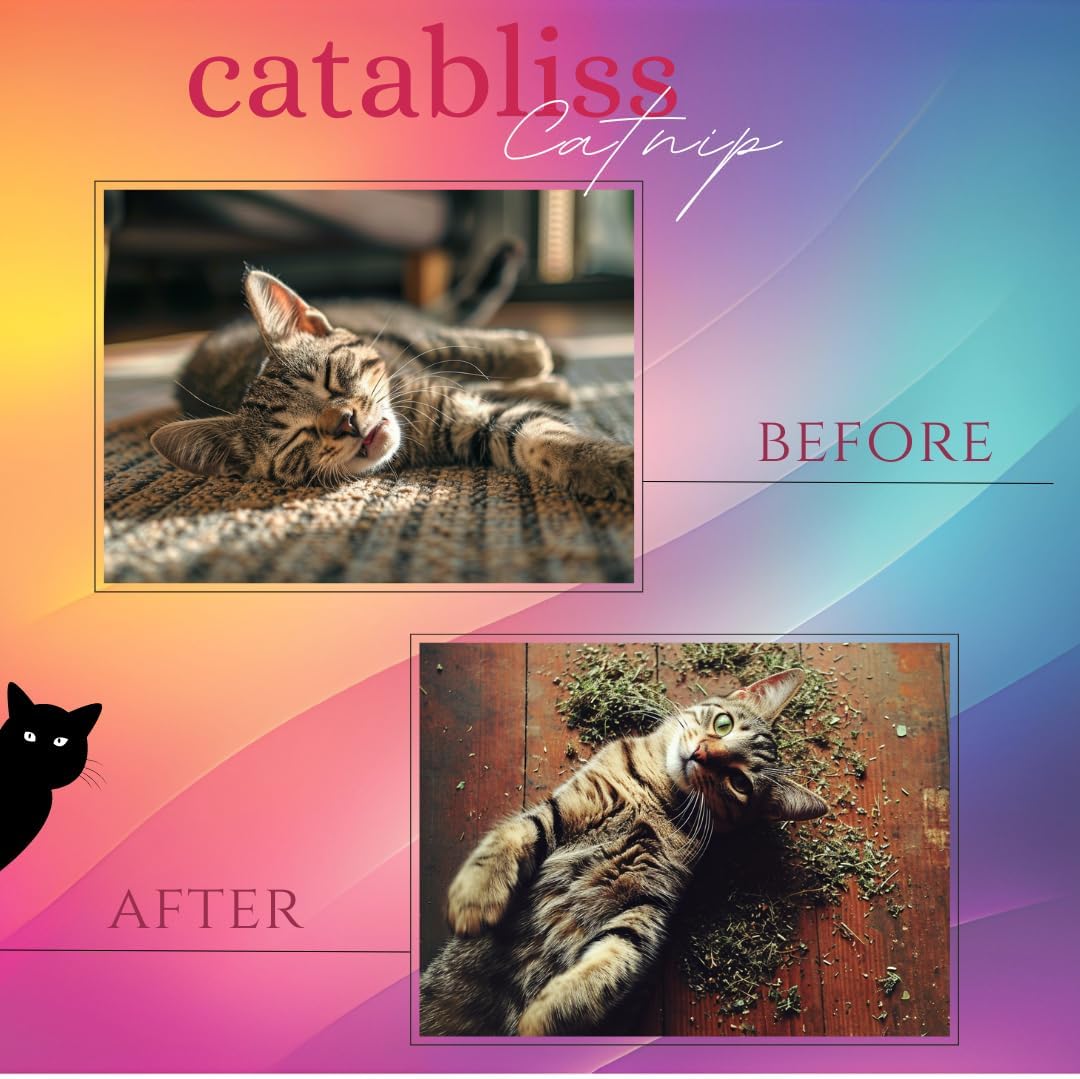 Catnip 1oz - Orange Fish Toy