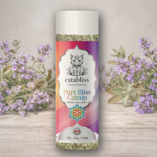 Large 1oz Catabliss  premium Canadian-grown catnip. Features high-oil nepetalactone for maximum potency, processed in our Qualicum Beach, BC boutique.