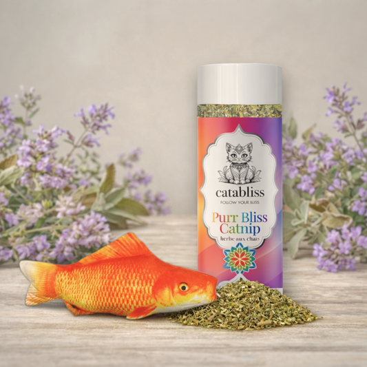 Catabliss 1oz orange fish cat toy filled with potent, sun-dried Alberta catnip. A bright, durable fabric toy designed for interactive family play and feline enrichment